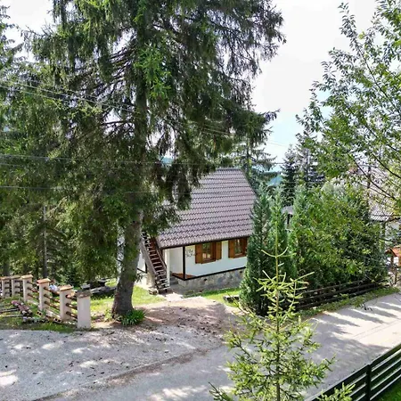 Bajka *
